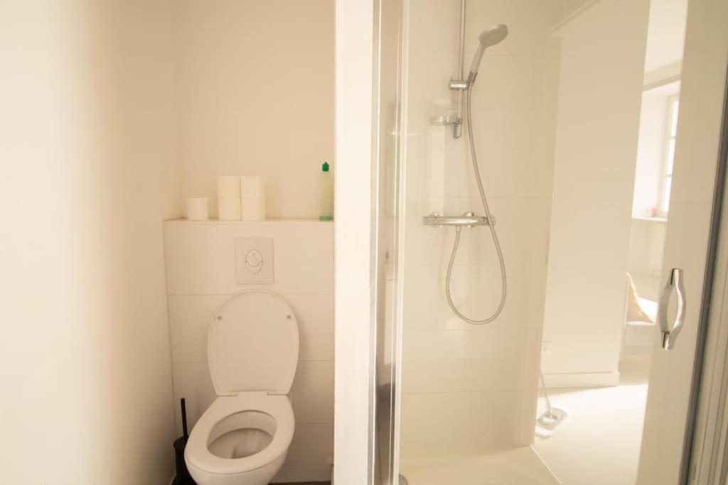 Apartamento Saint-Thomas - Joli T2 Dans Estrasburgo Exterior foto
